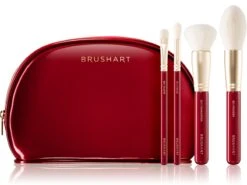 BrushArt Brush Set Cardinal
