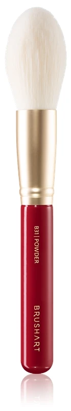 BrushArt Brush Set Cardinal 6 BrushArt Brush Set Cardinal – Image 4