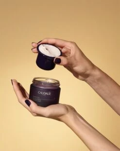 Caudalie Premier Cru La Creme Riche -Brown Technies Magasin caudalie premier cru la creme riche creme riche hydratante anti age 3