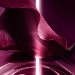 DIOR Capture Totale Super Potent Rich Creme 12 DIOR Capture Totale Super Potent Rich Creme -Brown Technies Magasin dior capture totale super potent rich creme creme riche anti age global nutrition reparation intenses 4