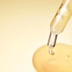 Estee Lauder Estée Lauder Advanced Night Repair Serum Synchronized Multi-Recovery Complex -Brown Technies Magasin estee lauder advanced night repair serum synchronized multi recovery complex serum anti rides 1