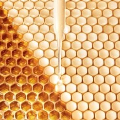 GUERLAIN Abeille Royale Eye R Repair Serum -Brown Technies Magasin guerlain abeille royale eye r repair serum serum renovateur intense contour des yeux 2