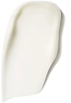 GUERLAIN Abeille Royale Rich Day Cream -Brown Technies Magasin guerlain abeille royale rich day cream creme nourrissante anti rides effet raffermissant