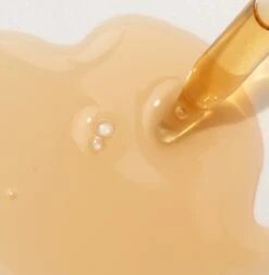 Mario Badescu Rose Hips Nourishing Oil -Brown Technies Magasin mario badescu rose hips nourishing oil serum a lhuile antioxydant pour visage a lhuile de rosier des chiens 1