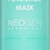 Neogen Dermalogy Canadian Clay Pore Stick Mask