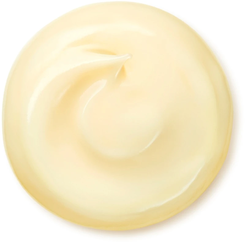 Shiseido Benefiance Wrinkle Smoothing Cream Enriched 4 Shiseido Benefiance Wrinkle Smoothing Cream Enriched – Image 2