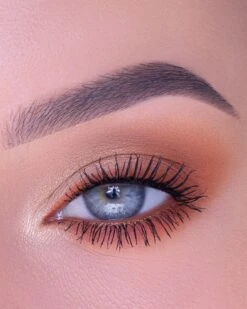 TheBalm Fun Guy Eyeshadow Palette Vol 1 -Brown Technies Magasin thebalm fun guy eyeshadow palette vol 1 palette de fards a paupieres 3