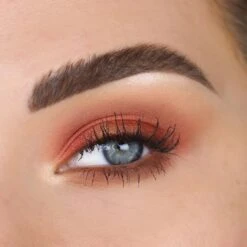 TheBalm Male Order® First Class Male -Brown Technies Magasin thebalm male order first class male palette de fards a paupieres 2